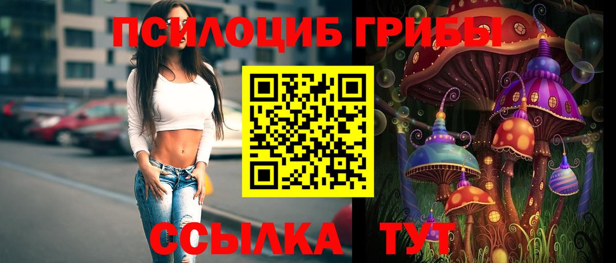 Галлюциногенные грибы ЛСД  Галлюциногенные грибы Magic Shrooms  Вход с VPN  Шатура 